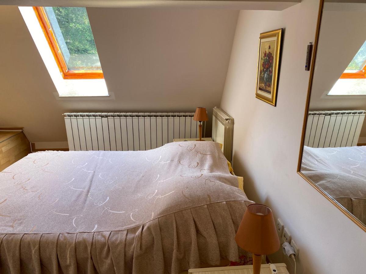 Vila Phoenix Aparthotel Predeal Buitenkant foto